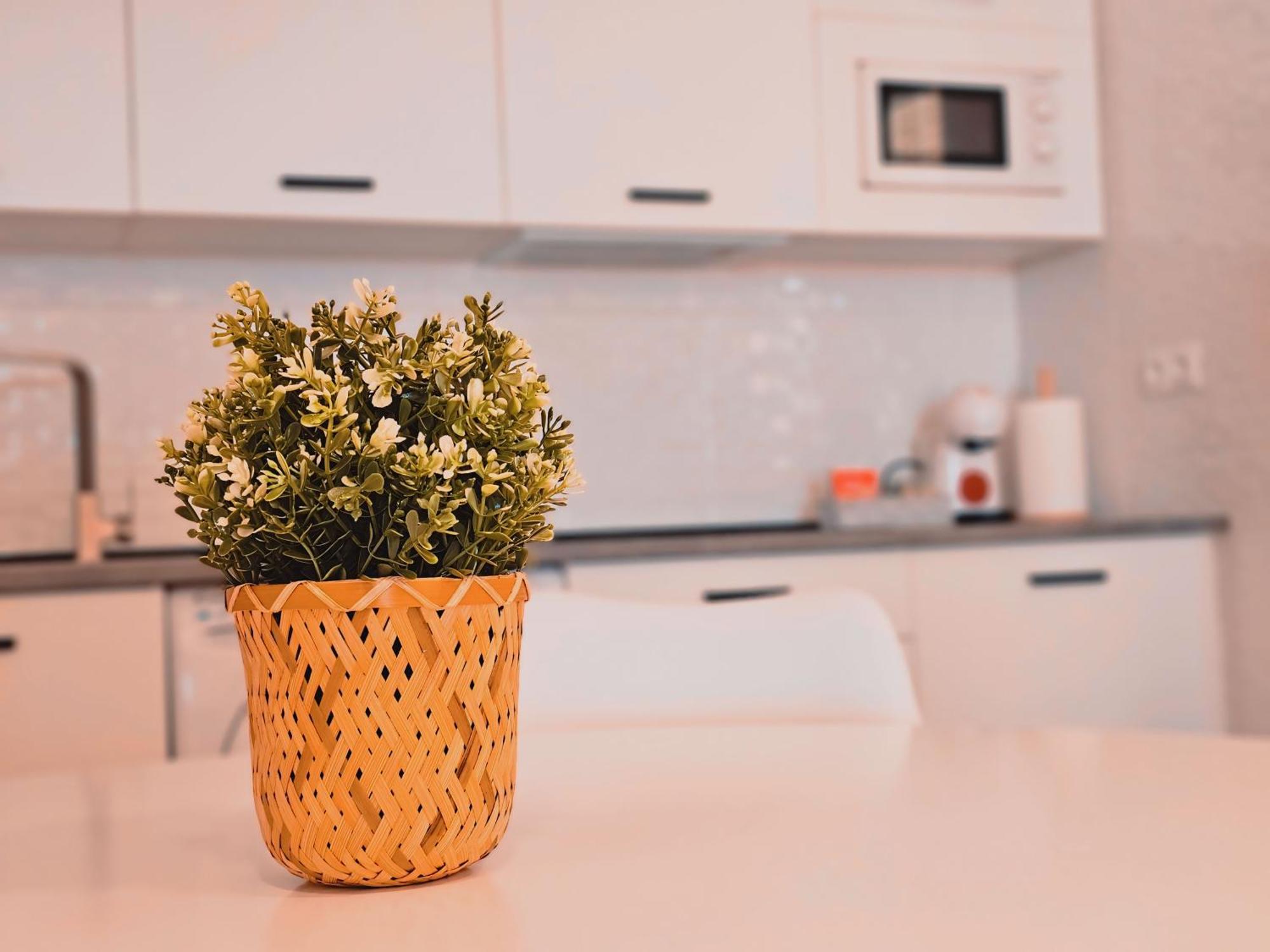 La Casita De Mercedes Malaga Ngoại thất bức ảnh